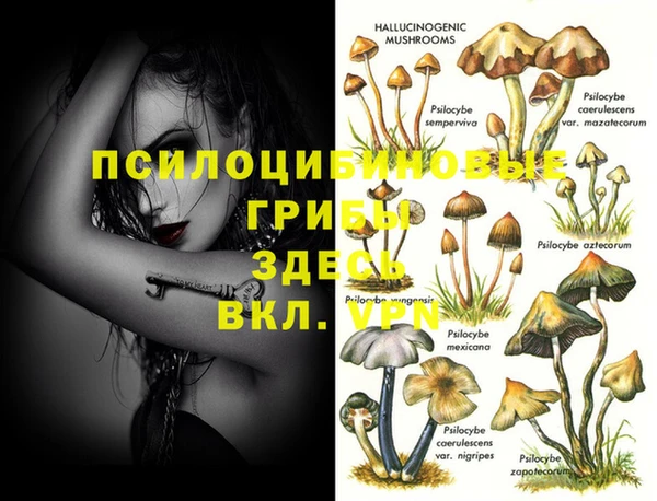молекула духа Горнозаводск
