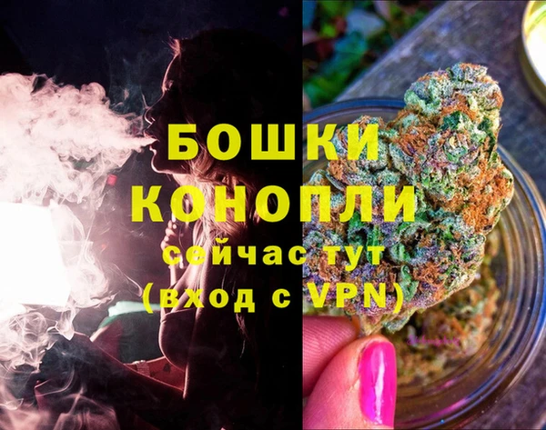 молекула духа Горнозаводск