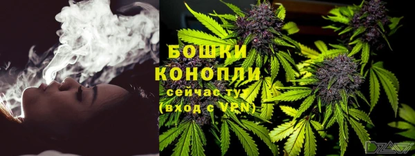молекула духа Горнозаводск